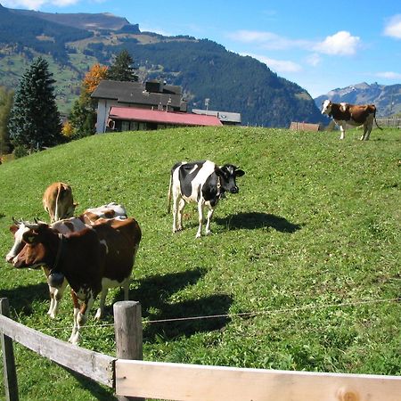 Alpenhof Hotell Grindelwald Eksteriør bilde