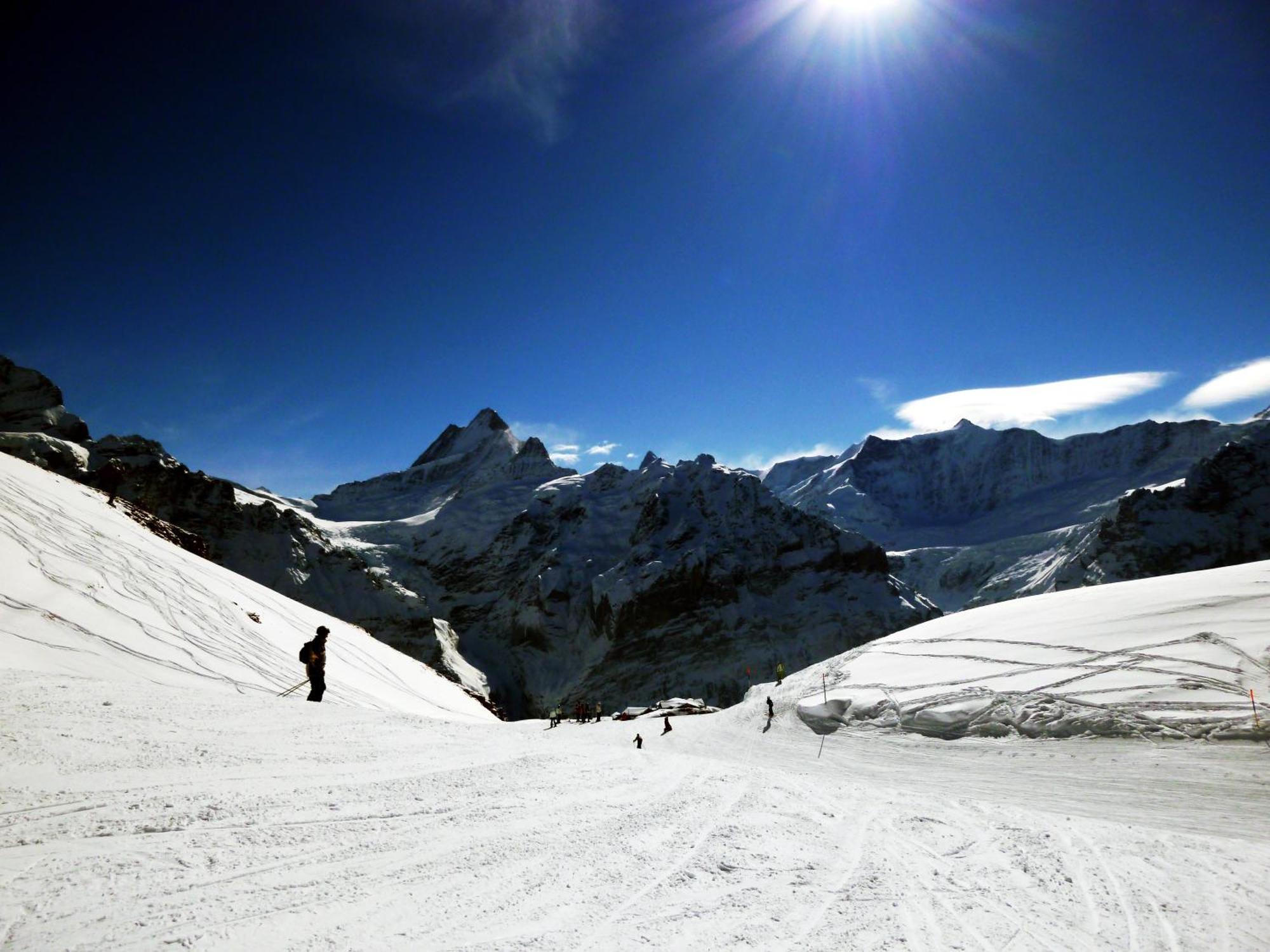 Alpenhof Hotell Grindelwald Eksteriør bilde