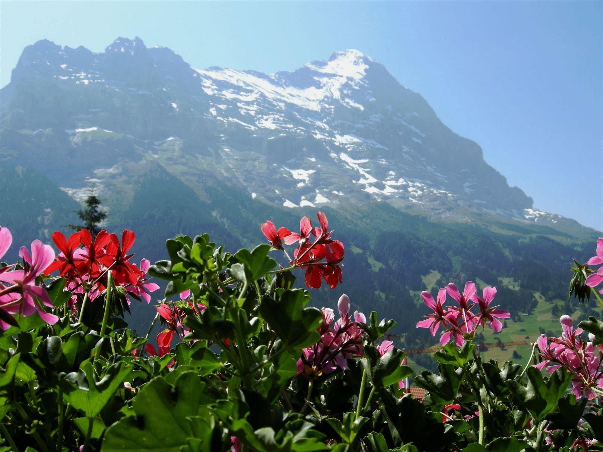 Alpenhof Hotell Grindelwald Eksteriør bilde